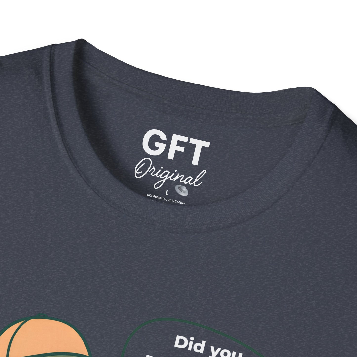 Did you remember to ground today? - T-Shirt